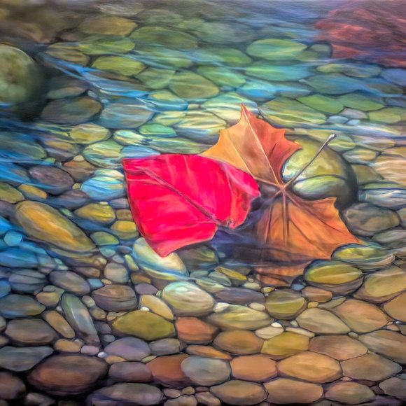 Meet your Posher, William - Picture 6 of 8